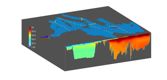 Proposed repeat Med-SHIP hydrographic sections. Red dots indicate the low-frequency zonal section, yellow dots the high-frequency meridional sections. The interior salinity along the zonal section is shown in color. From https://doi.org/10.5670/oceanog.2015.71